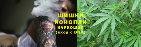 ГАЛЛЮЦИНОГЕННЫЕ ГРИБЫ Аркадак