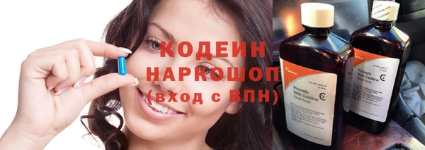 ГАЛЛЮЦИНОГЕННЫЕ ГРИБЫ Аркадак