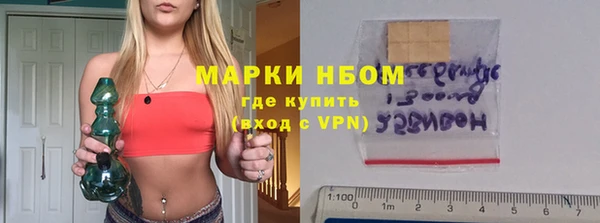 ГАЛЛЮЦИНОГЕННЫЕ ГРИБЫ Аркадак