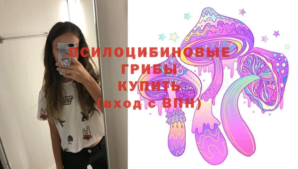 ГАЛЛЮЦИНОГЕННЫЕ ГРИБЫ Аркадак