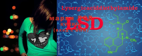 PSILOCYBIN Баксан